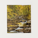 Recherche de blue ridge mountains Chute