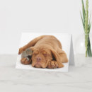 Recherche de dogue de bordeaux vœux cartes Chiot