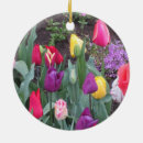 Zoek naar tulp ornamenten Rode tulpen
