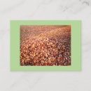 Recherche de retraité cartes visite Administrative professional