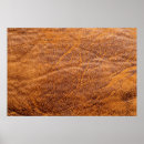 Recherche de peau de vache posters Texture
