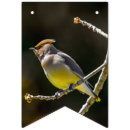 Zoek naar vogels vlaggetjes Foto