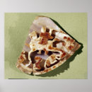 Recherche de empereur romain posters 04th