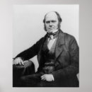 Recherche de charles darwin posters Evolution