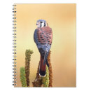 Recherche de faucons carnets Faune