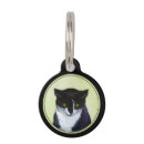 Recherche de tuxedo animaux articles Chaton