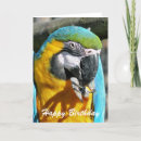 Recherche de ara vœux cartes Oiseau