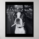 Recherche de drôle de chien posters Unique