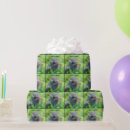 Recherche de oiseaux papier cadeau Nature