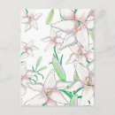 Recherche de lis blanc cartes postales Floral