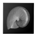 Recherche de nautilus carreaux Océan