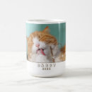 Recherche de propriétaire de chat tasses Pour animaux