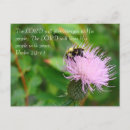 Recherche de chardons cartes postales Fleurs