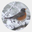 Recherche de robin birds autocollants Oiseau