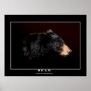 Recherche de ours noirs posters Amoureux des animaux
