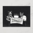 Recherche de anniversaire cartes postales Chat