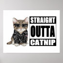 Zoek naar rechtse posters Katten