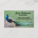 Recherche de gardien animal cartes visite Oiseau