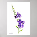 Recherche de trex posters Vert