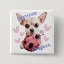 Recherche de chihuahua badges Mignon