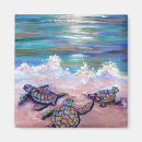 Recherche de turtle magnets Hawaii