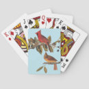 Recherche de cardinal bird Amoureux des oiseaux