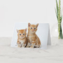 Recherche de deux chats vœux cartes Animal