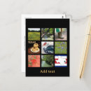 Recherche de oignons cartes postales Photographie