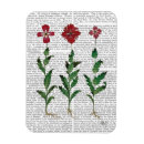 Recherche de oeillets magnets Contemporain