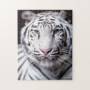 Zoek naar witte tijger puzzels Wilde katten