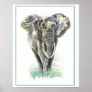 Recherche de éléphant africain posters Nature