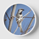 Zoek naar zangvogel klokken Kleine vogel