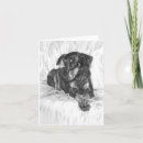 Recherche de pincher vœux cartes Dobermann
