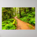 Recherche de sentier piéton Arbre