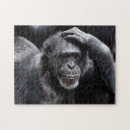 Recherche de chimpanzé puzzles Faune