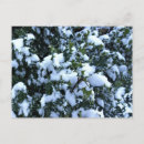 Recherche de neige couverte cartes postales Blanc