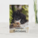 Recherche de 7ème anniversaire cartes Fille