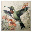 Recherche de colibri de rubis gorge Volant