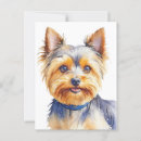 Zoek naar yorkshire terriers briefkaarten Yorkie