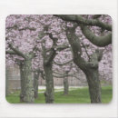Recherche de cerisier tapis souris Rose