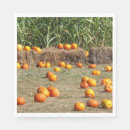 Recherche de foin serviettes Citrouille