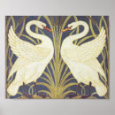 Recherche de cygne vintage art Oiseaux