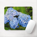 Recherche de buisson tapis souris Nature