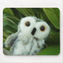 Recherche de hibou de huée Yeux