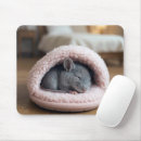 Recherche de pantoufles tapis souris Mignon