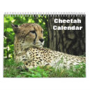 Recherche de sauvage chat calendriers Zoo