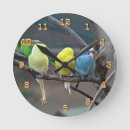 Zoek naar parkieten klokken Paraketten