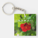 Recherche de souvenir tropical porteclés Hawaii