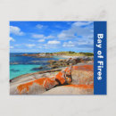 Zoek naar tasmania briefkaarten Natuur