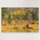 Recherche de wapiti puzzles Montagnes rocheuses